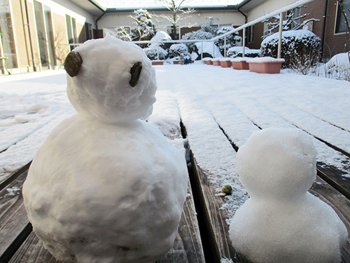 中庭の雪景色
